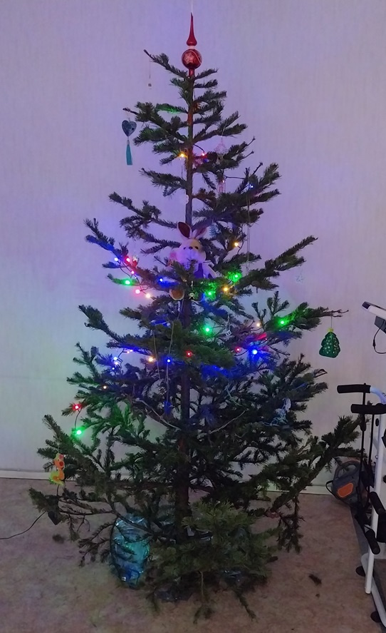 Флешмобы: Итоги флешмоба Моя елка 2026