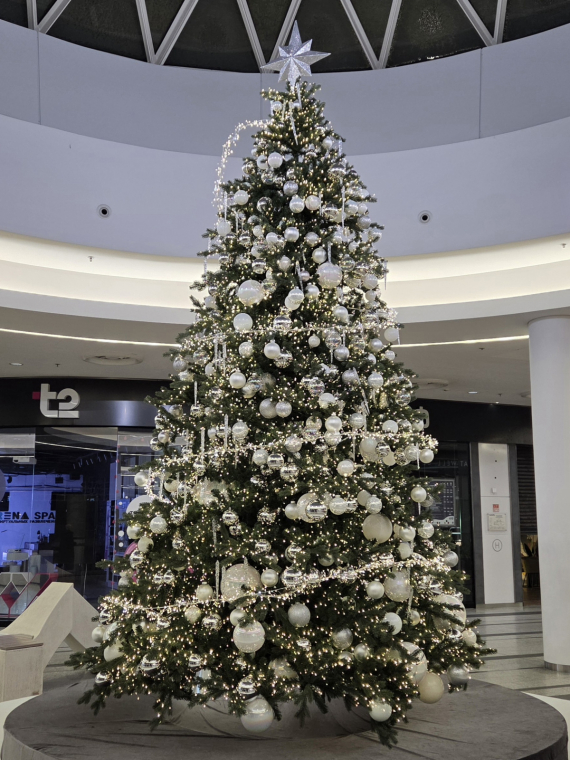 Флешмобы: Итоги флешмоба Моя елка 2026