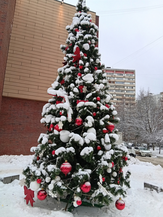 Флешмобы: Итоги флешмоба Моя елка 2026