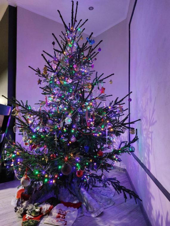 Флешмобы: Итоги флешмоба Моя елка 2026