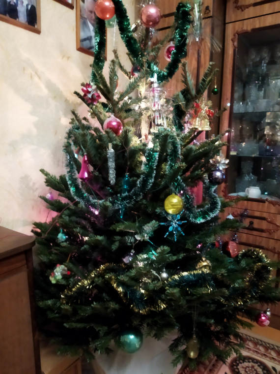 Флешмобы: Итоги флешмоба Моя елка 2026