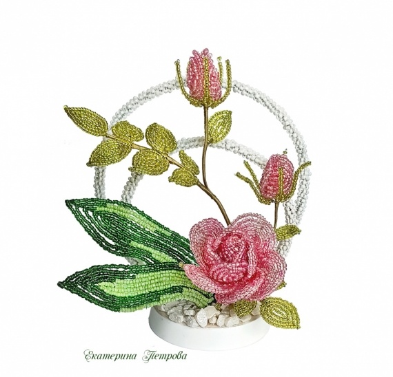 Альбом пользователя Yekaterina: Розы, много роз...