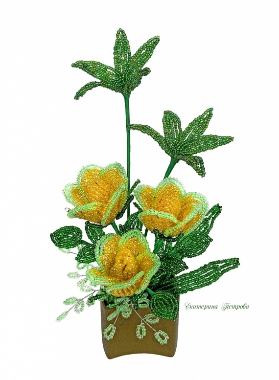 Альбом пользователя Yekaterina: Розы, много роз...