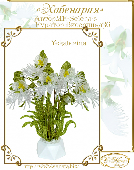 Альбом пользователя Yekaterina: Орхидея Хабенария
