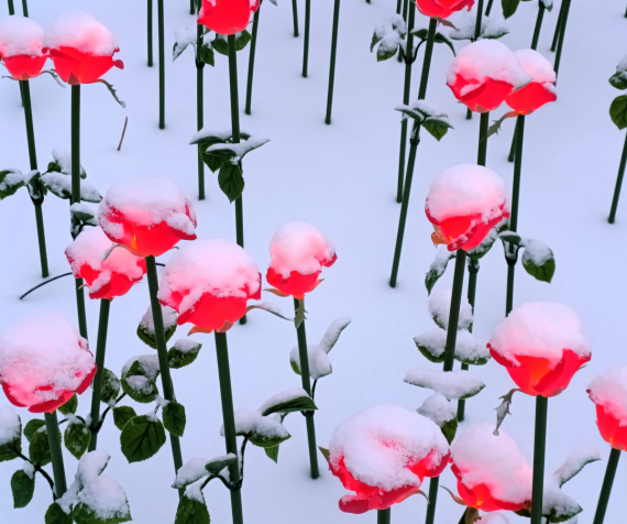 О жизни: путешествие