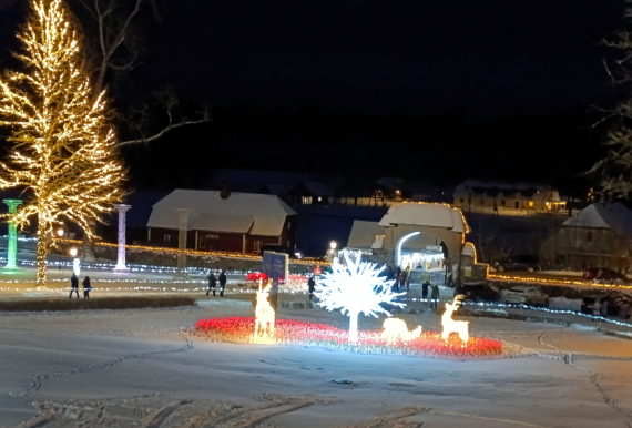 О жизни: путешествие