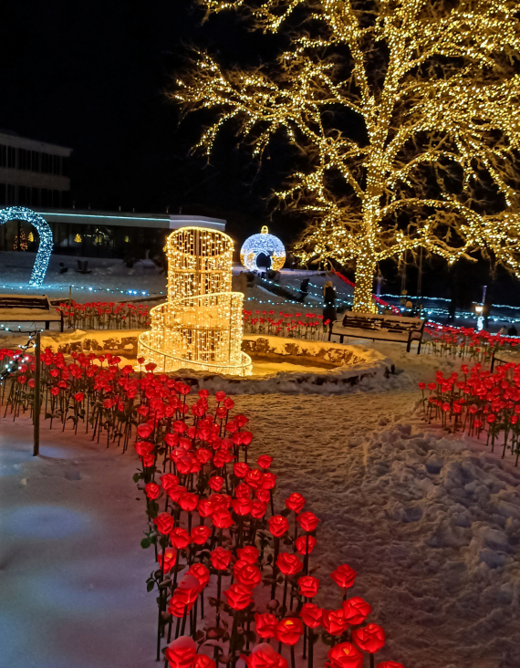 О жизни: путешествие