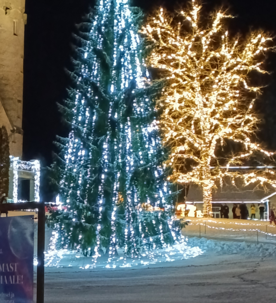 О жизни: путешествие