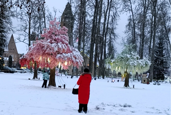 О жизни: путешествие