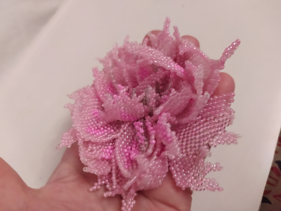 Альбом пользователя ОльгаМинск: Пион Гурман