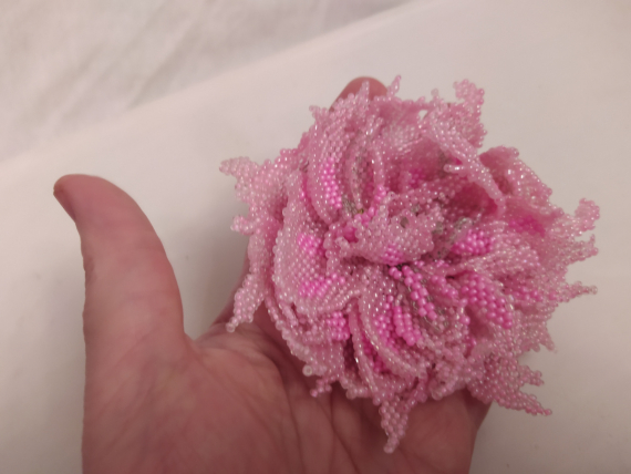 Альбом пользователя ОльгаМинск: Пион Гурман