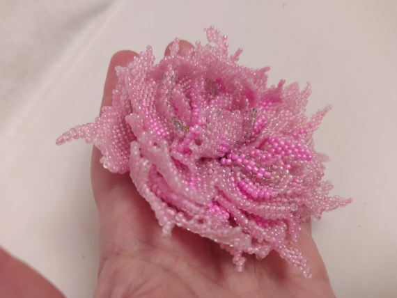 Альбом пользователя ОльгаМинск: Пион Гурман