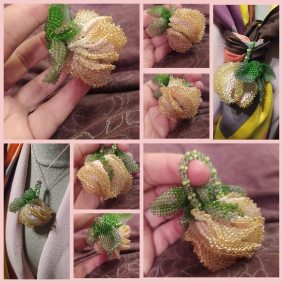 Альбом пользователя ОльгаМинск: Неизвестный  цветок повышенной *лохматости*