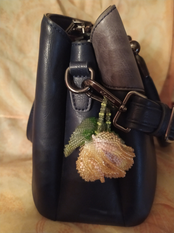 Альбом пользователя ОльгаМинск: Неизвестный  цветок повышенной «лохматости»