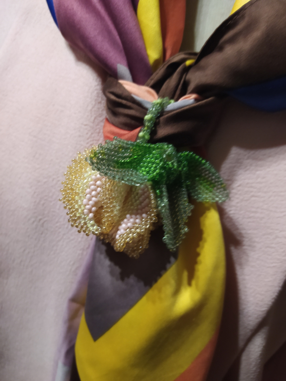 Альбом пользователя ОльгаМинск: Неизвестный  цветок повышенной *лохматости*