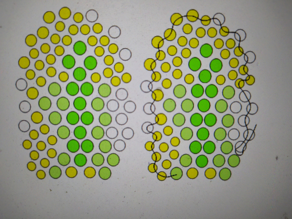 Альбом пользователя ОльгаМинск: Мальва желтая