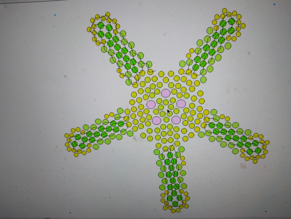 Альбом пользователя ОльгаМинск: Мальва желтая