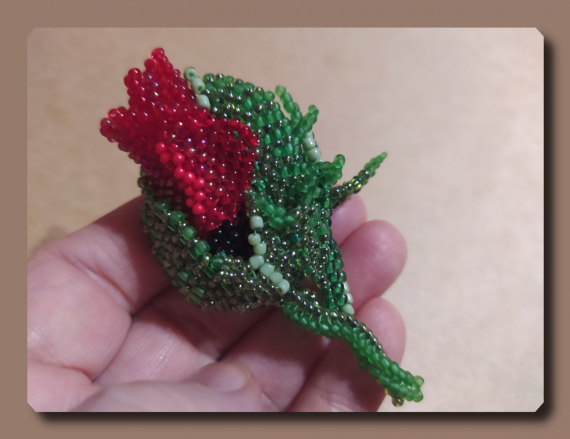 Альбом пользователя ОльгаМинск: Бутон мака