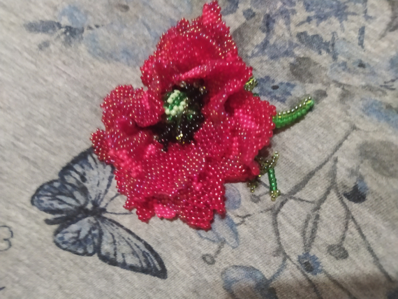 Альбом пользователя ОльгаМинск: Проказница