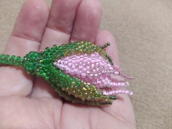 Альбом пользователя ОльгаМинск: Роза