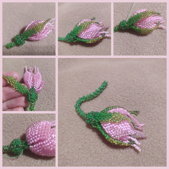 Альбом пользователя ОльгаМинск: Роза