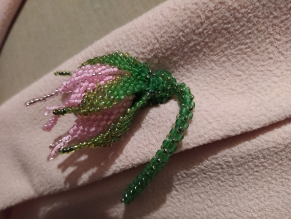 Альбом пользователя ОльгаМинск: Роза