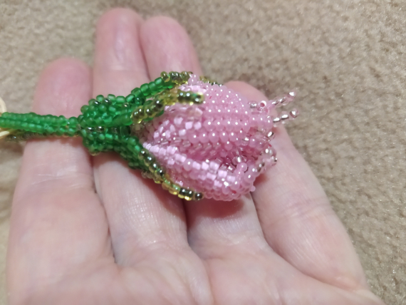 Альбом пользователя ОльгаМинск: Роза