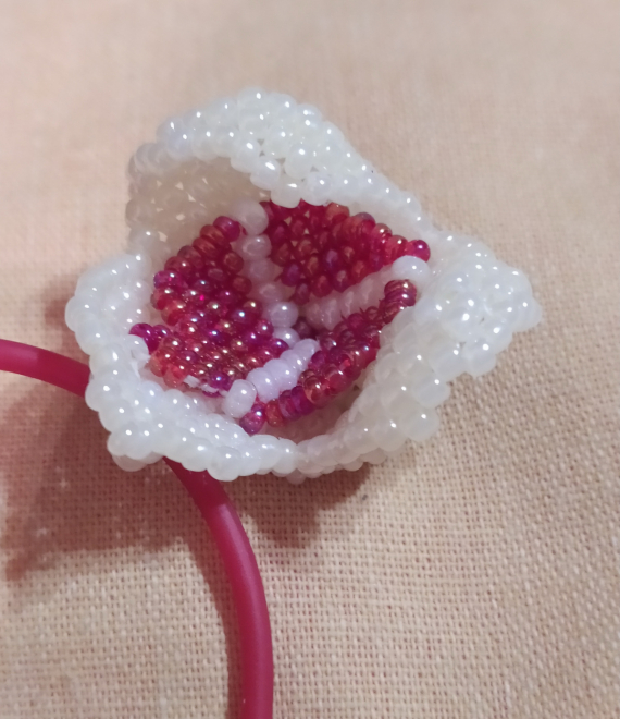 Альбом пользователя ОльгаМинск: Цветок