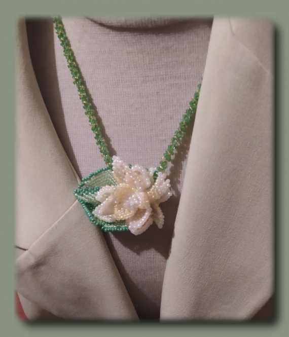 Альбом пользователя ОльгаМинск: Нимфея