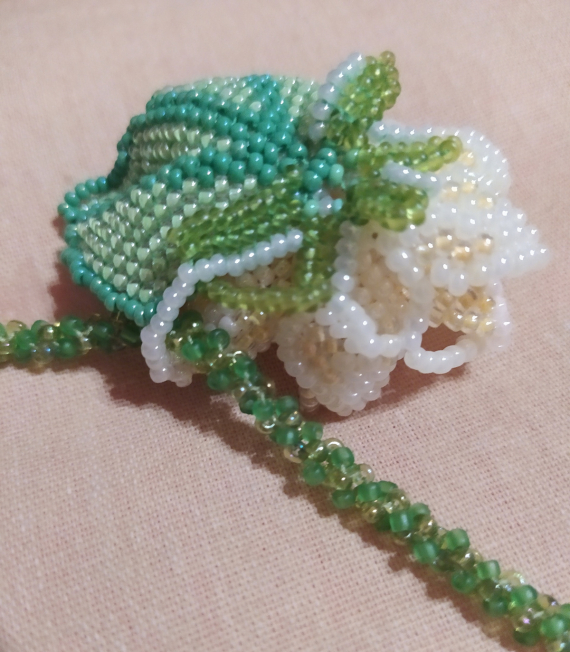 Альбом пользователя ОльгаМинск: Нимфея