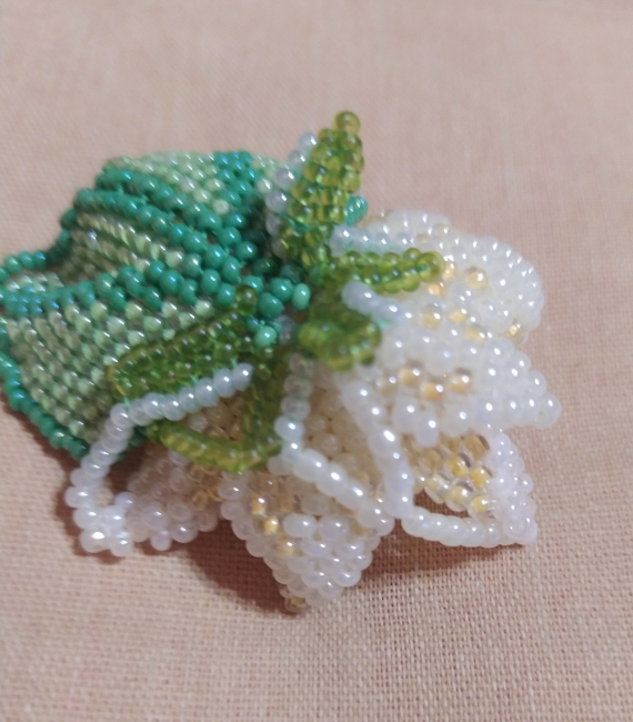 Альбом пользователя ОльгаМинск: Нимфея