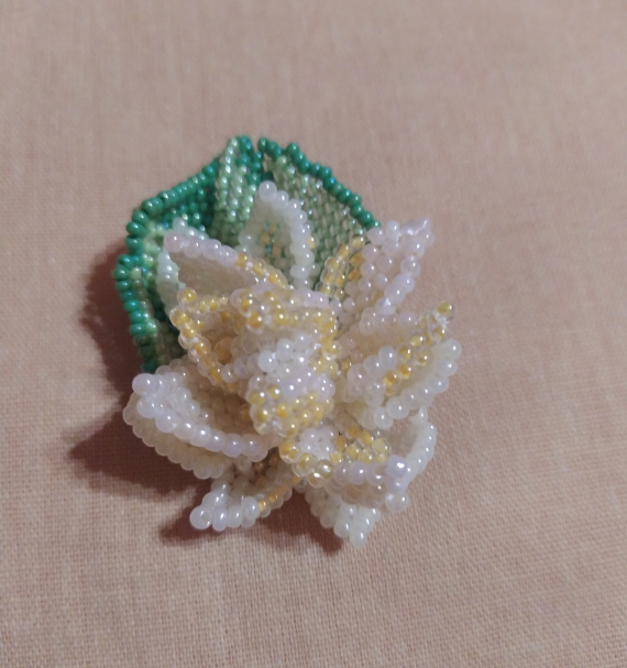 Альбом пользователя ОльгаМинск: Нимфея