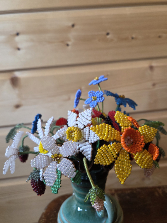 Альбом пользователя Новая: Мои первые цветочки и первоцветы