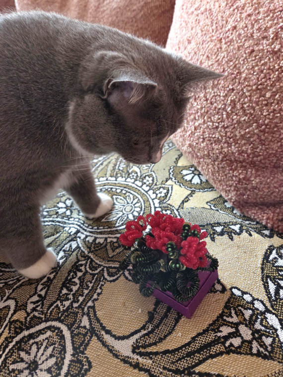 Альбом пользователя Новая: Композиция Праздничный сюрприз