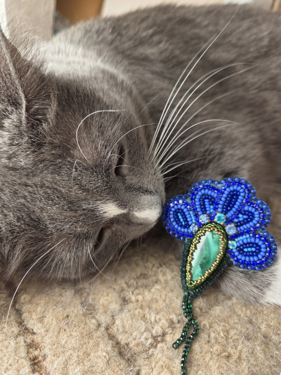 Альбом пользователя Новая: Брошь Василёк