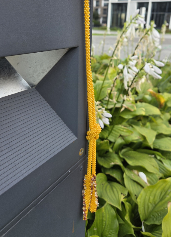 Альбом пользователя Новая: Лариат жёлтый