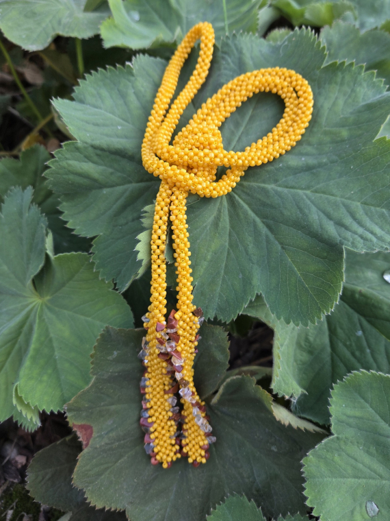 Альбом пользователя Новая: Лариат жёлтый