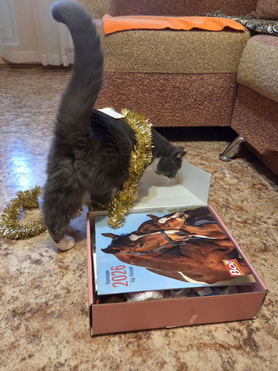 О жизни: Огромное спасибо за подарки