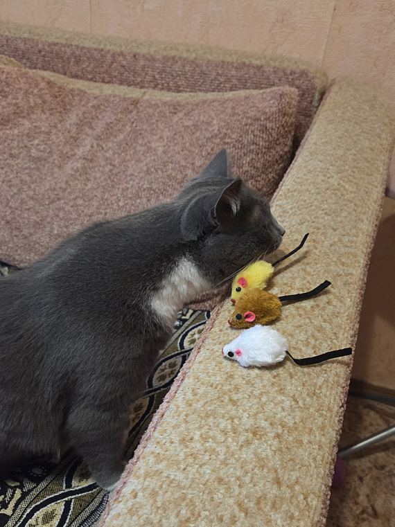 О жизни: Огромное спасибо за подарки