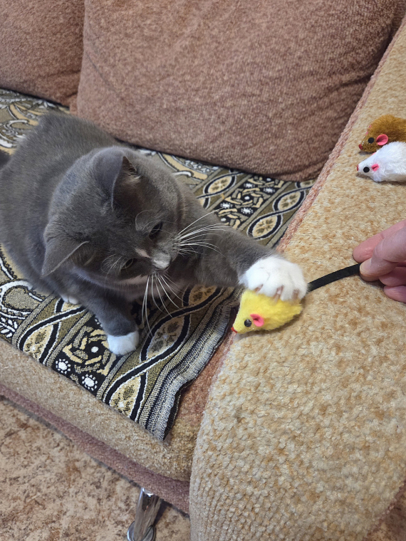 О жизни: Огромное спасибо за подарки