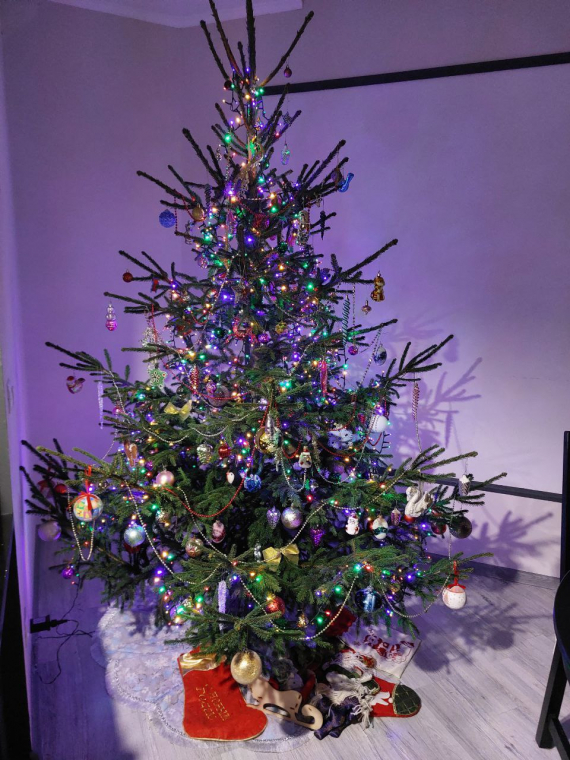 Флешмобы: И моя елочка для флешмоба