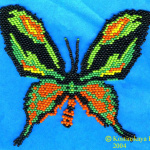 Мои первые бабочки. 2001 год