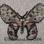 Бабочки аполлоны