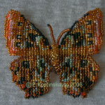 Морфо Деидамия. Нижняя сторона