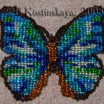 Морфо Менелай №2