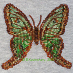 Грельсия Изабеллы. Самец. 2005 год