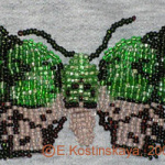 Совка роскошная