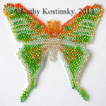 Actias Artemis. Коллекция 63 бабочки мира