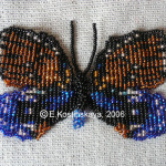 Эрасмия кровоточащая