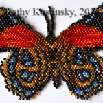 Калликора Цинозура. Коллекция 63 бабочки мира